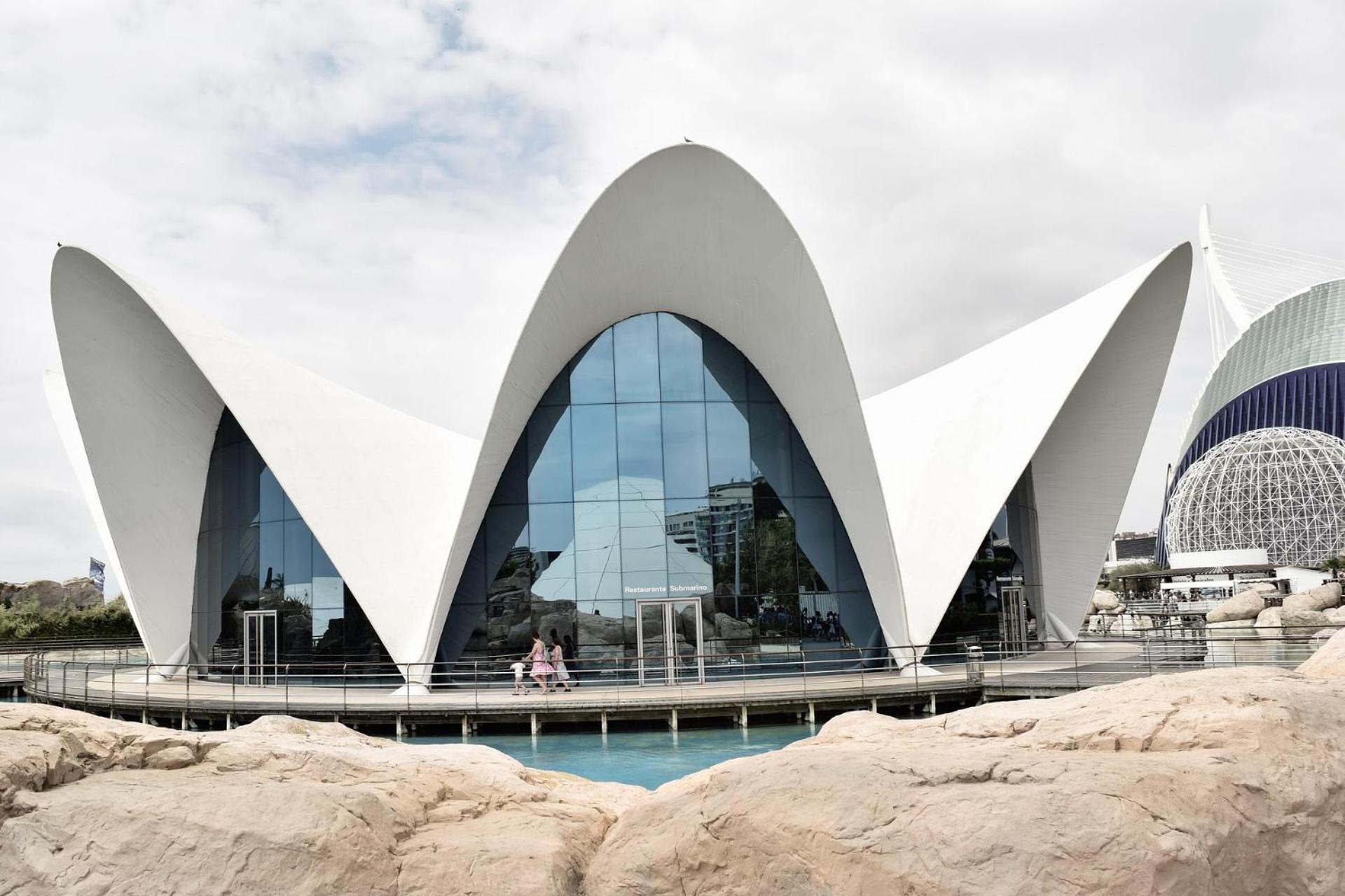 Ciudad De Artes Y Ciencias * Valencia