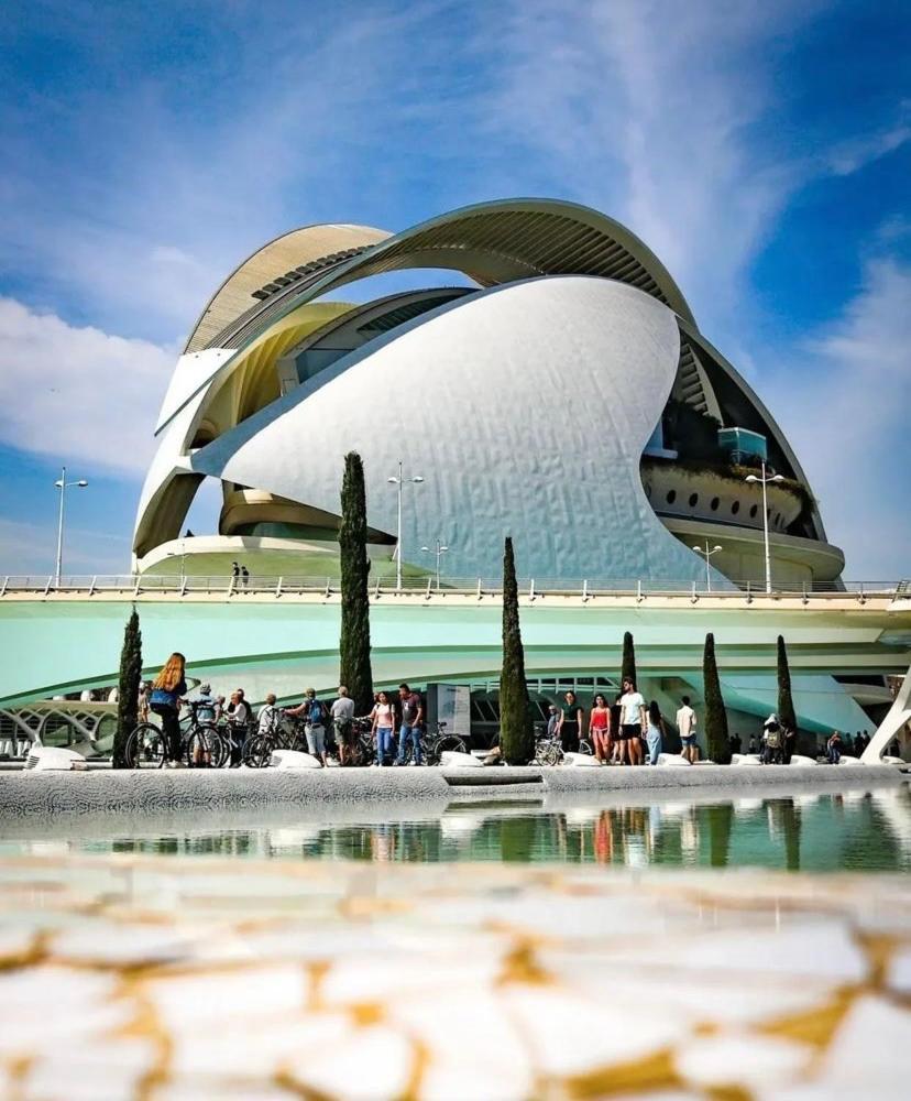 Apartahotel Ciudad De Artes Y Ciencias Valencia