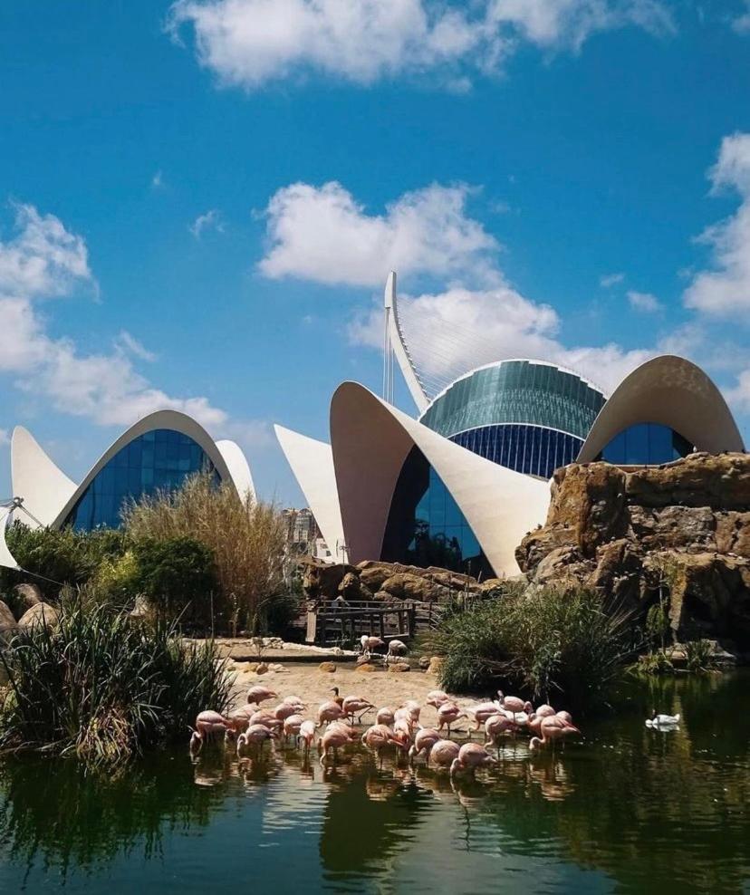 Ciudad De Artes Y Ciencias *
